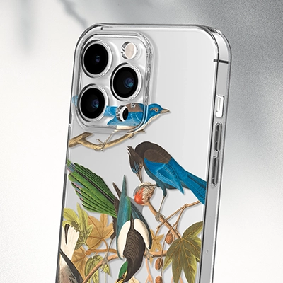 طبیعت و منظره