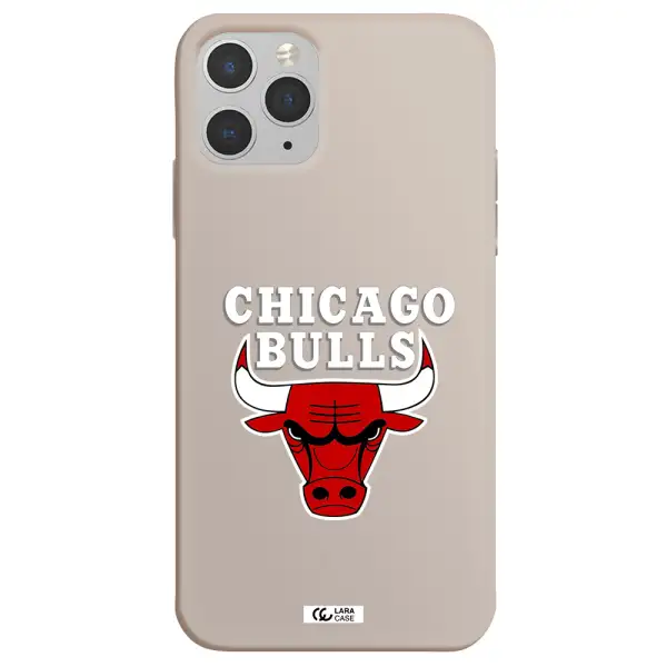 Chicago Bulls Apple iPhone 11 pro max Silicone Stone Case
