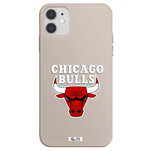 Chicago Bulls Apple iPhone 11 Silicone Stone Case