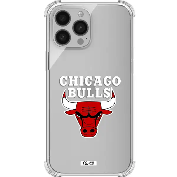Chicago Bulls Apple iPhone 13 Pro Clear PC Case