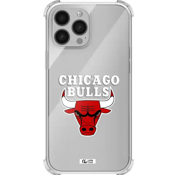 Chicago Bulls Apple iPhone 13 Pro Max Clear PC Case