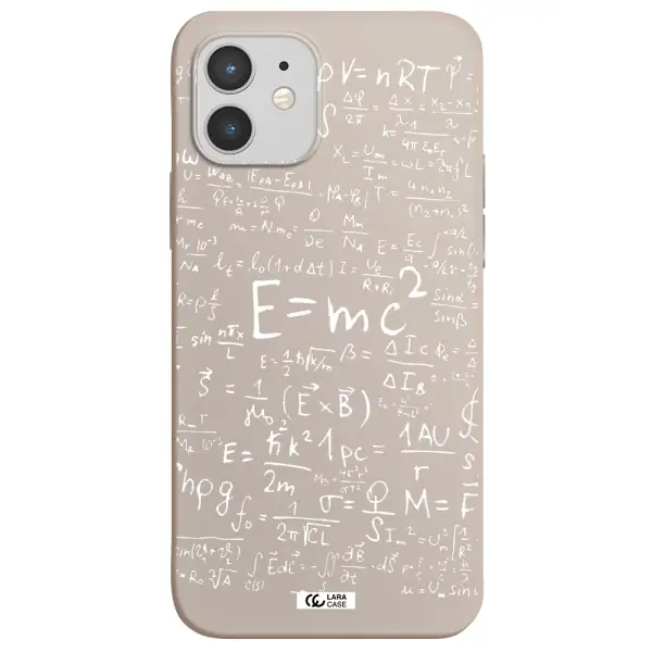 Physics Blackboard Apple iPhone 12 Silicone Stone Case