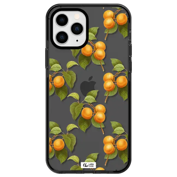 Apricot Apple iPhone 11 pro impact Smoke Black Case