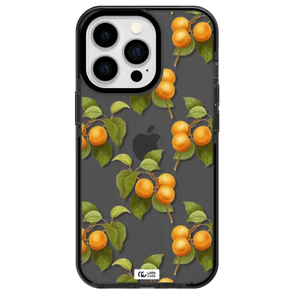 Apricot Apple iPhone 13 Pro impact Smoke Black Case