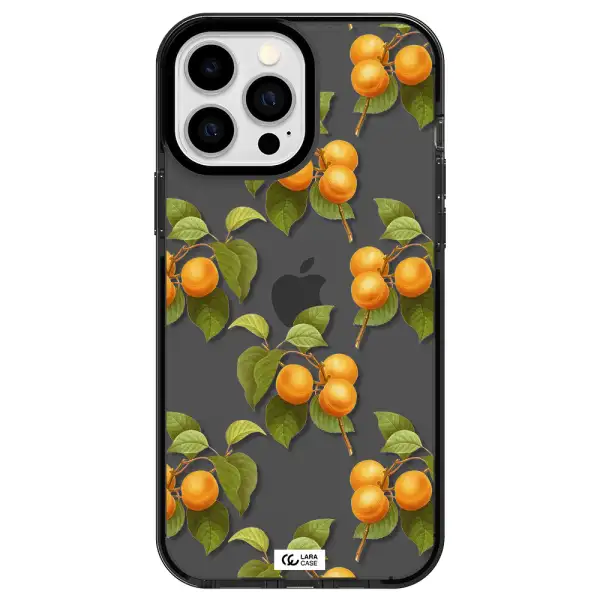 Apricot Apple iPhone 13 Pro Max impact Smoke Black Case