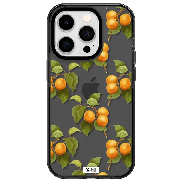 Apricot Apple iPhone 14 pro impact Smoke Black Case