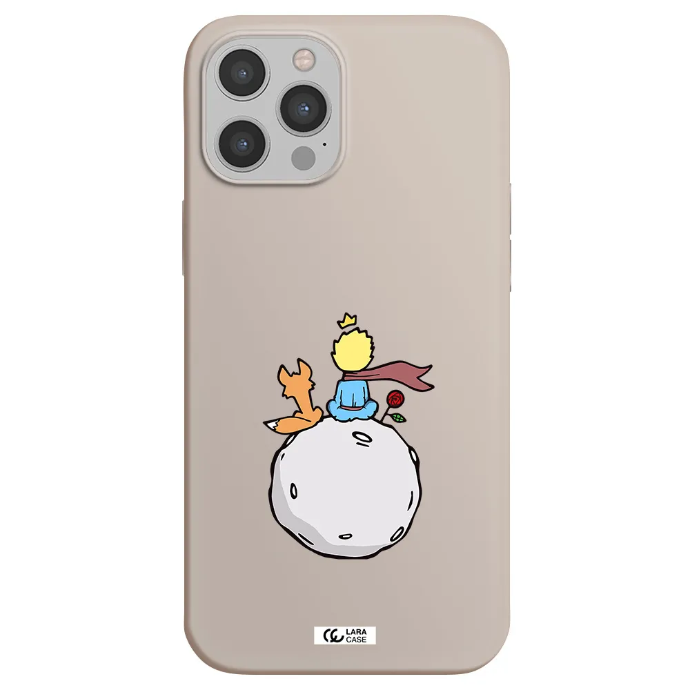 Le Petit Prince Apple iPhone 12 pro Silicone Stone Case