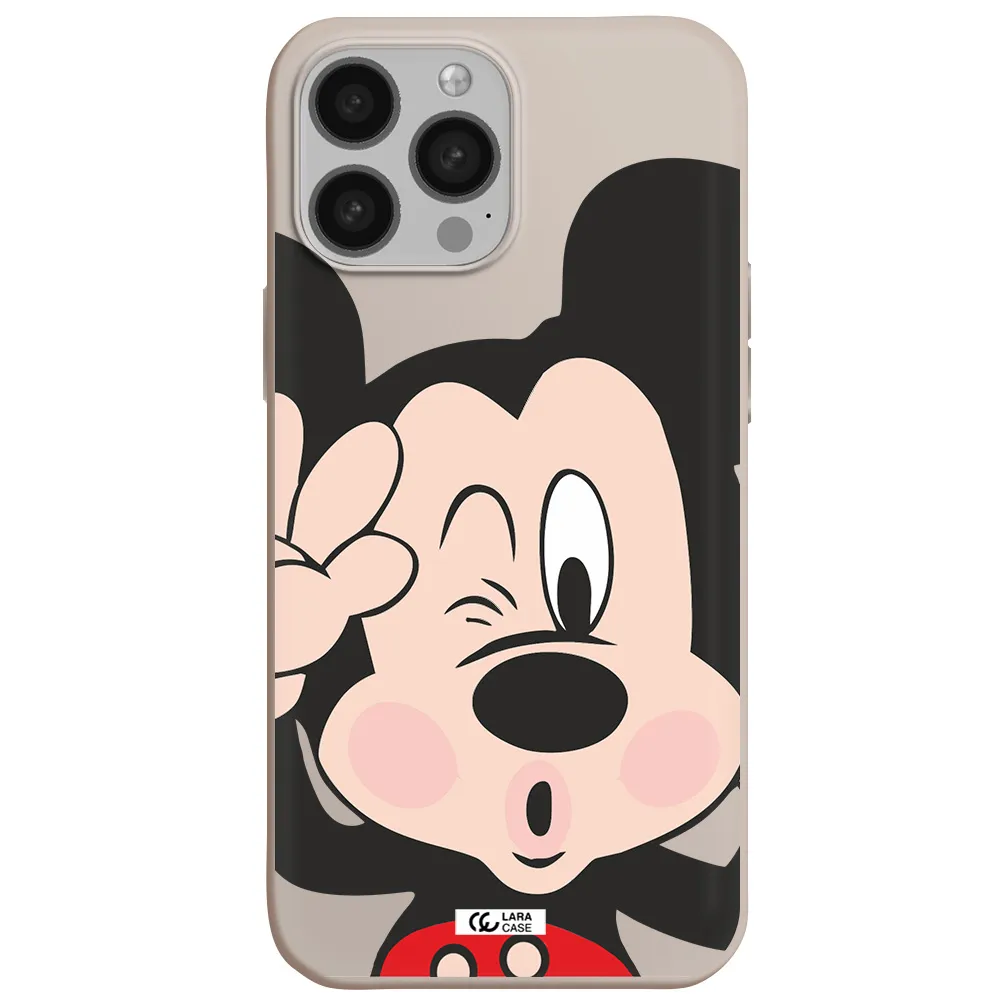Mickey Mouse Apple iPhone 13 Pro Max Silicone Stone Case