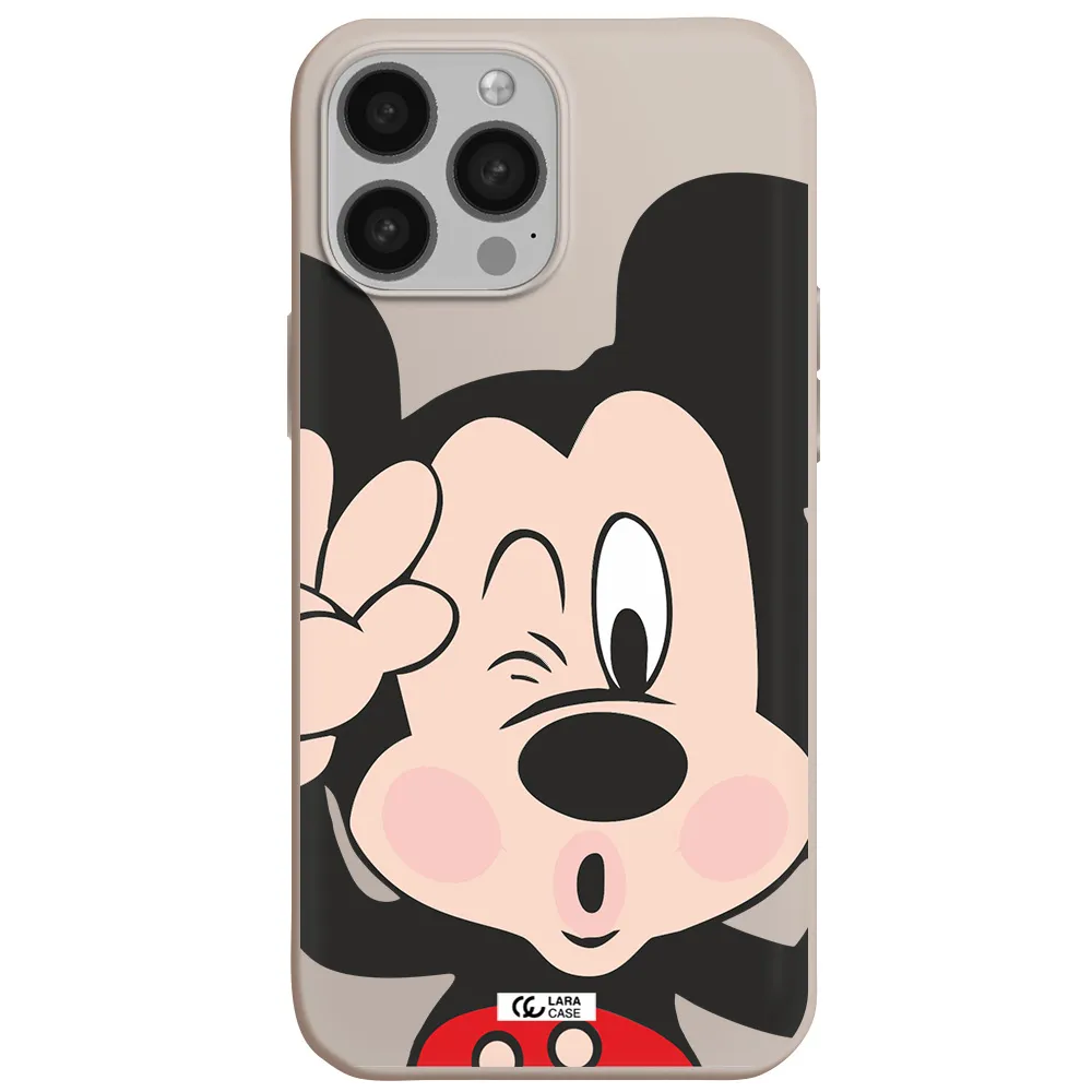 Mickey Mouse Apple iPhone 13 Pro Silicone Stone Case