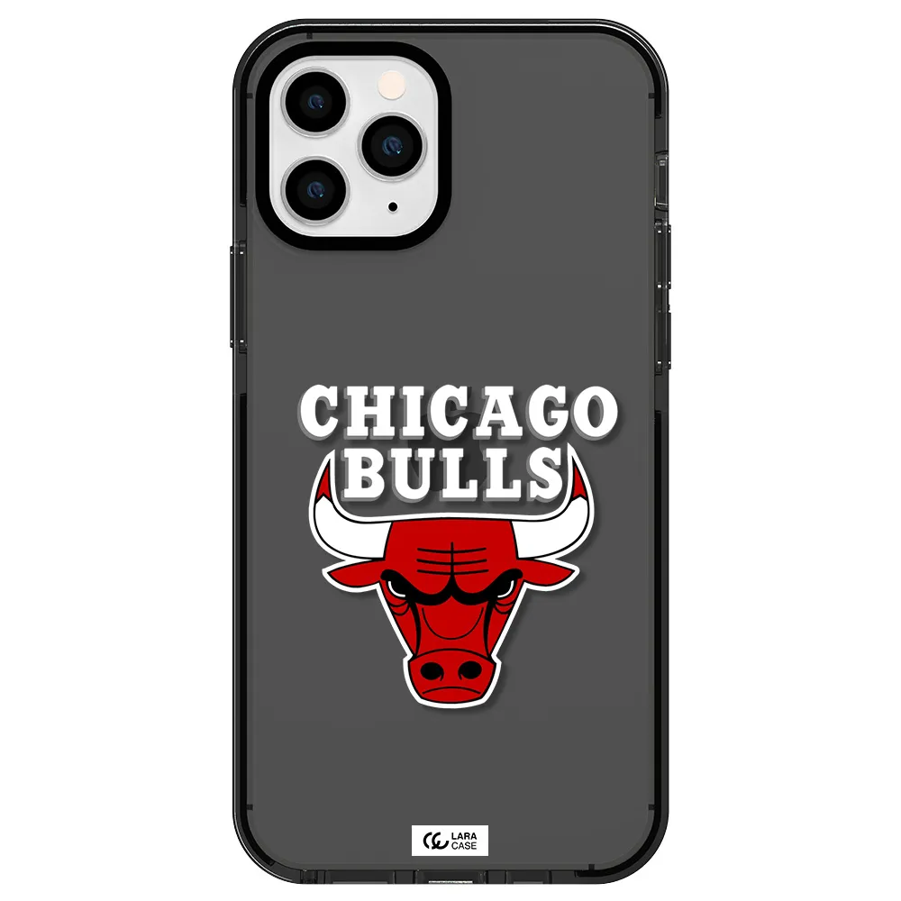 Chicago Bulls Apple iPhone 11 pro impact Smoke Black Case