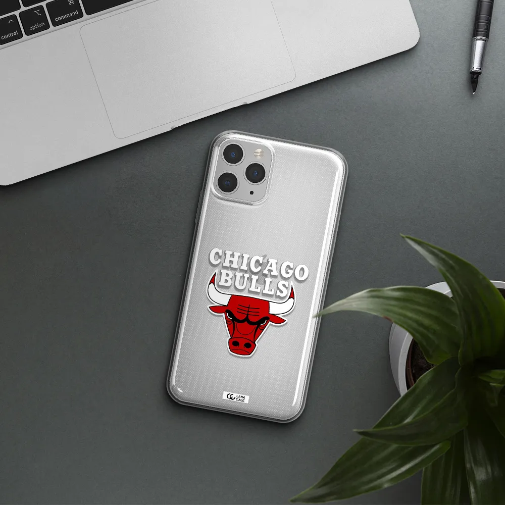 Chicago Bulls Apple iPhone 11 pro max Clear TPU Case