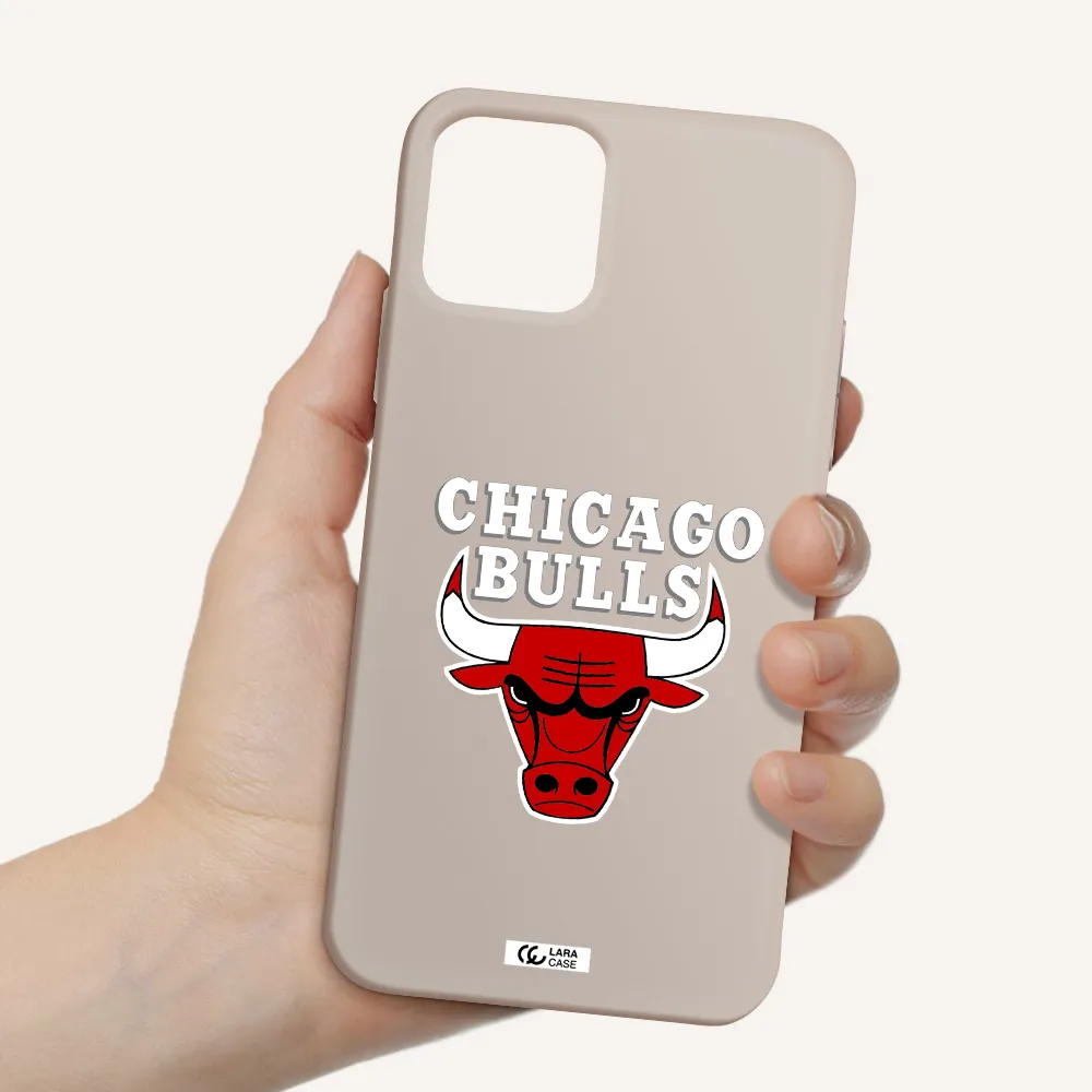 Chicago Bulls Apple iPhone 11 pro max Silicone Stone Case