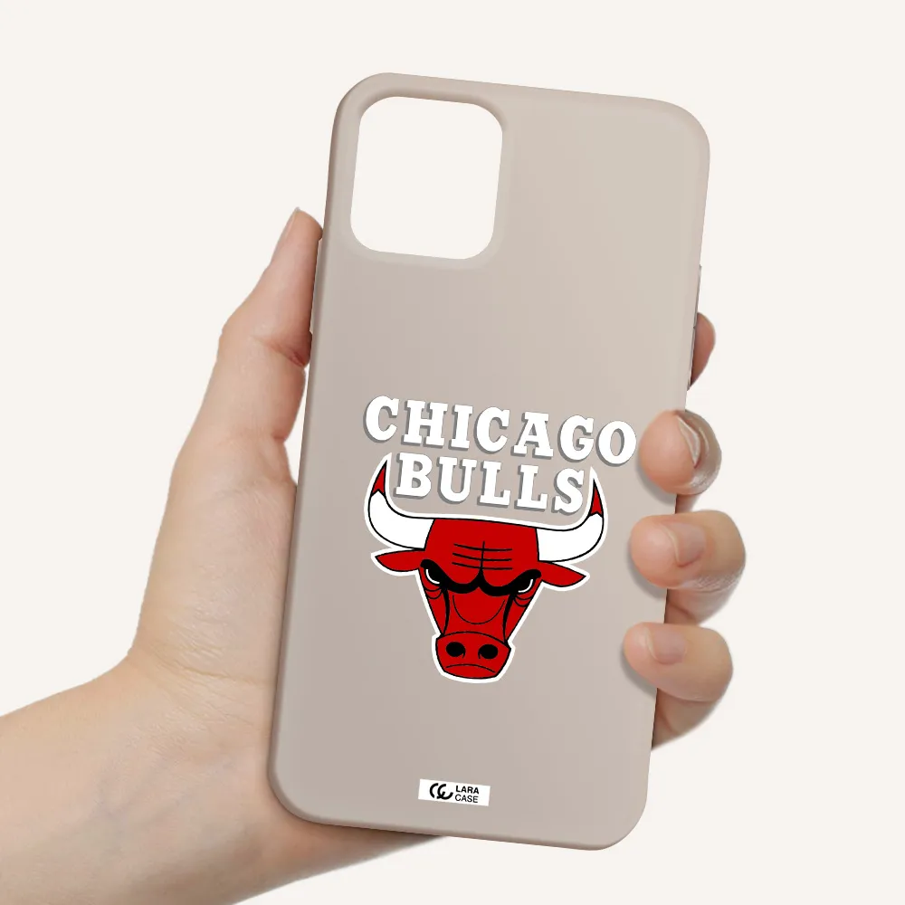 Chicago Bulls Apple iPhone 11 pro Silicone Stone Case