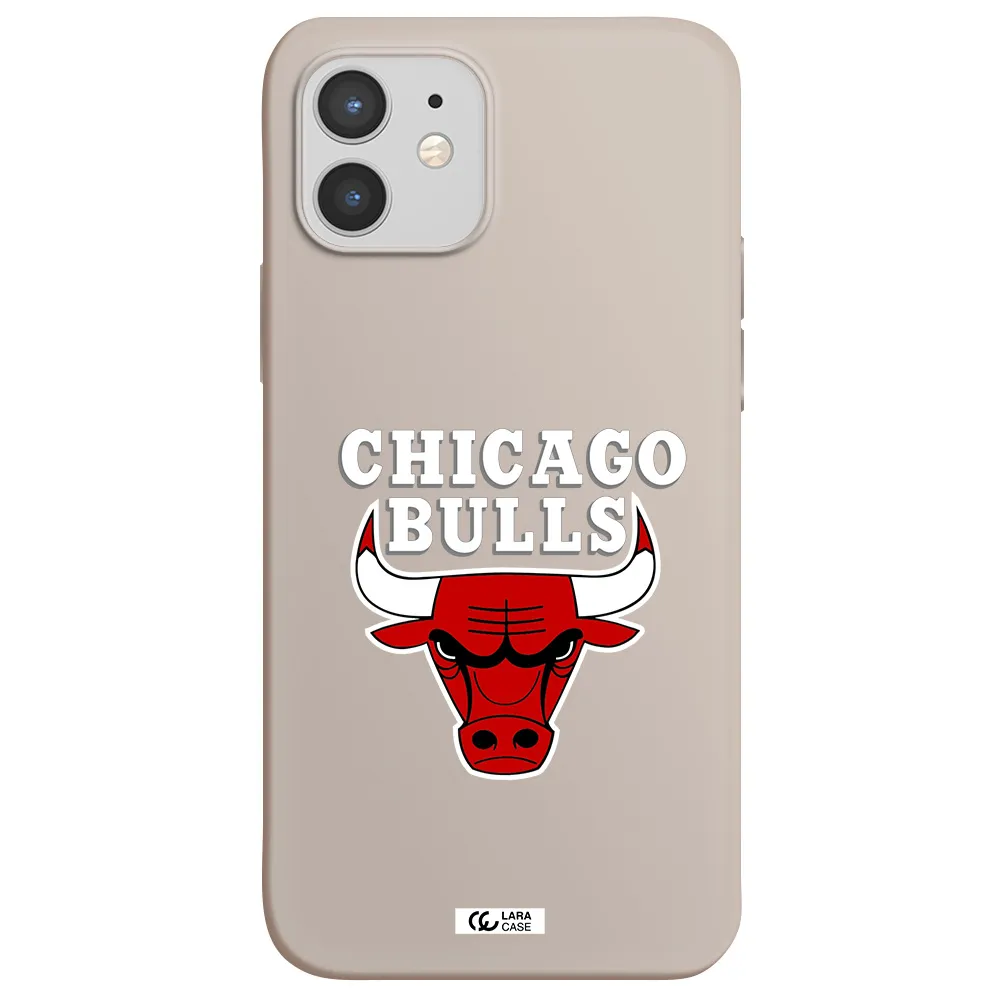 Chicago Bulls Apple iPhone 12 mini Silicone Stone Case