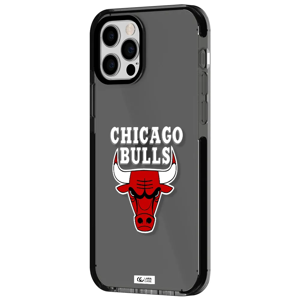 Chicago Bulls Apple iPhone 12 pro impact Smoke Black Case