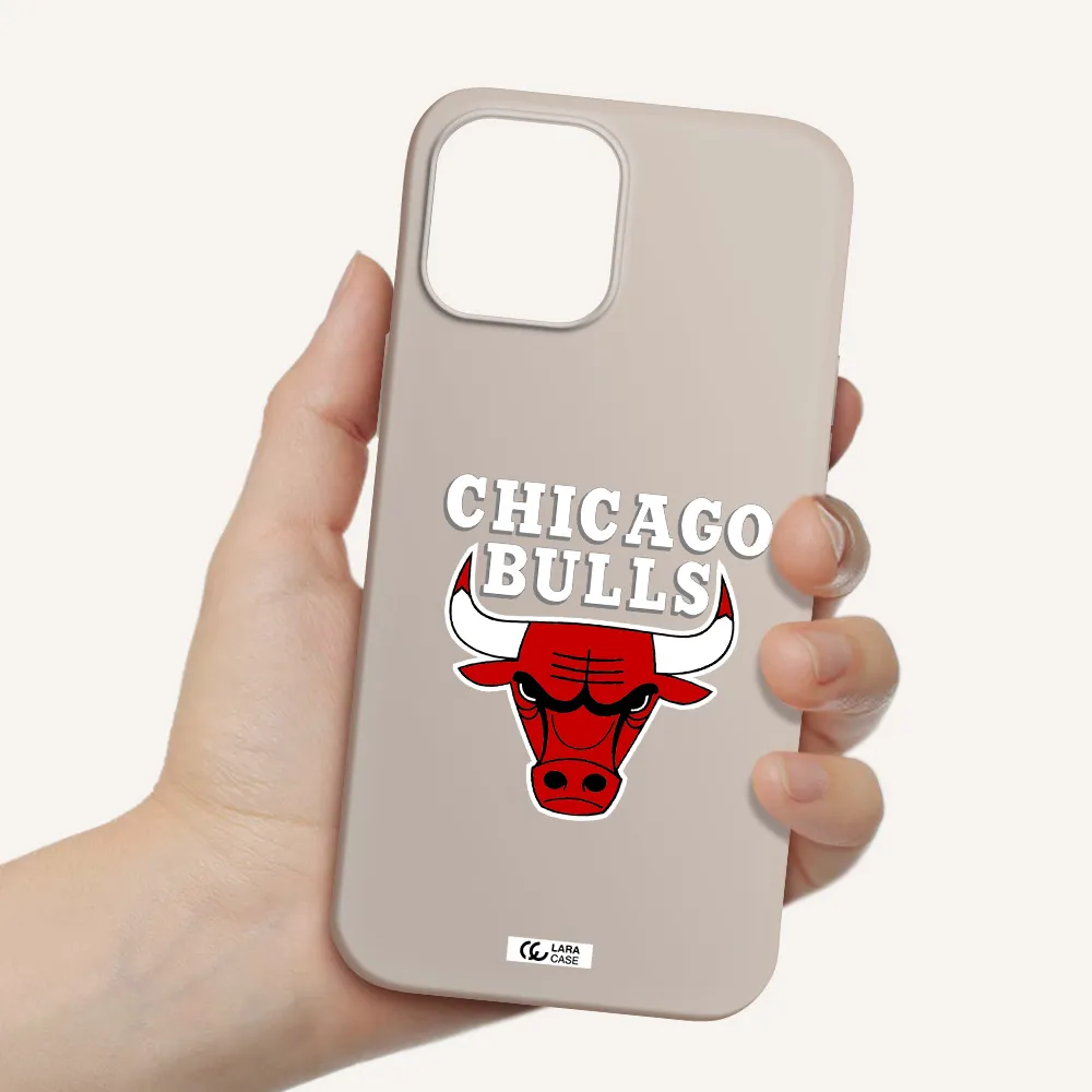 Chicago Bulls Apple iPhone 12 pro max Silicone Stone Case