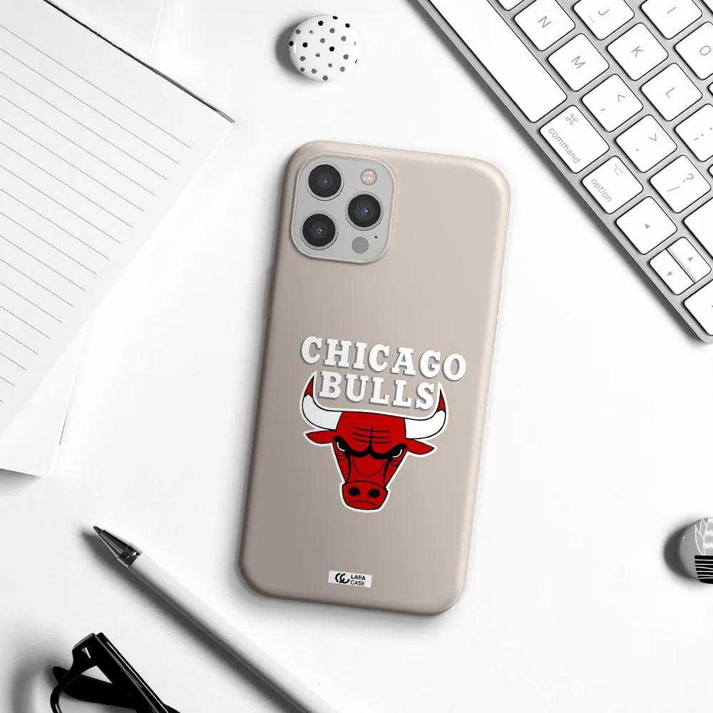 Chicago Bulls Apple iPhone 12 pro max Silicone Stone Case