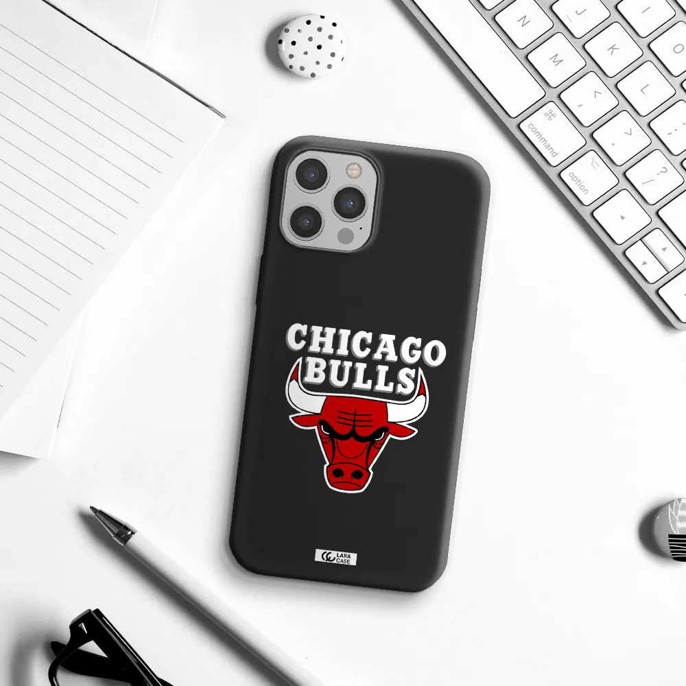 Chicago Bulls Apple iPhone 12 pro Silicone black Case