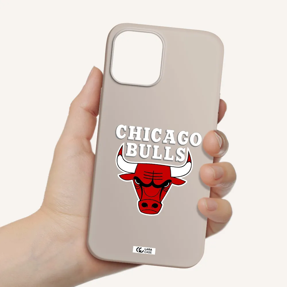 Chicago Bulls Apple iPhone 12 pro Silicone Stone Case