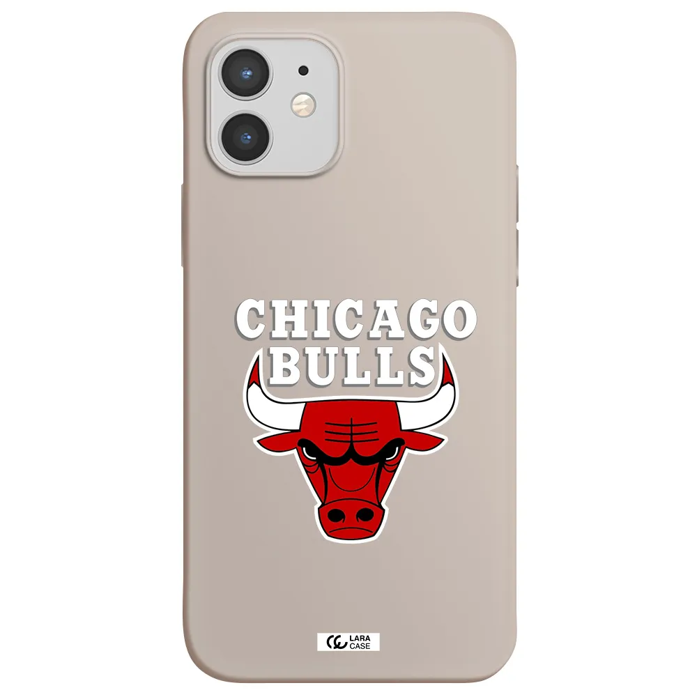 Chicago Bulls Apple iPhone 12 Silicone Stone Case