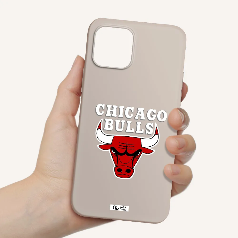 Chicago Bulls Apple iPhone 12 Silicone Stone Case