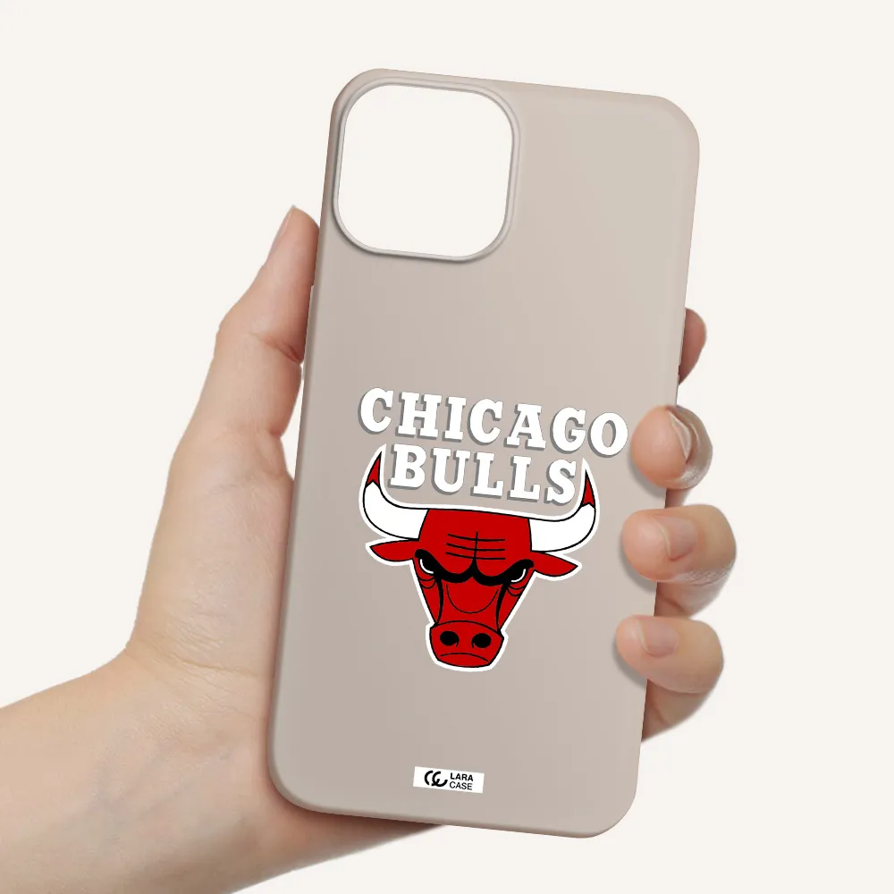 Chicago Bulls Apple iPhone 13 mini Silicone Stone Case