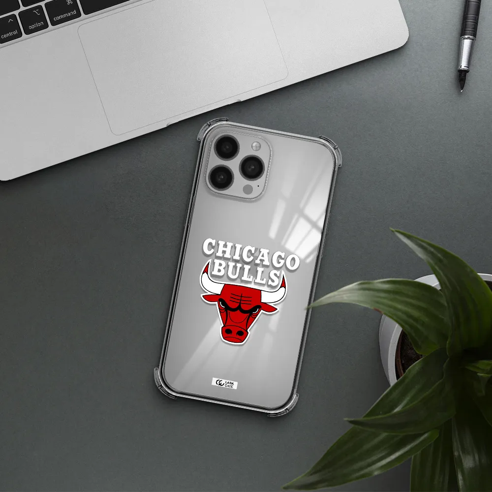 Chicago Bulls Apple iPhone 13 Pro Max Clear PC Case