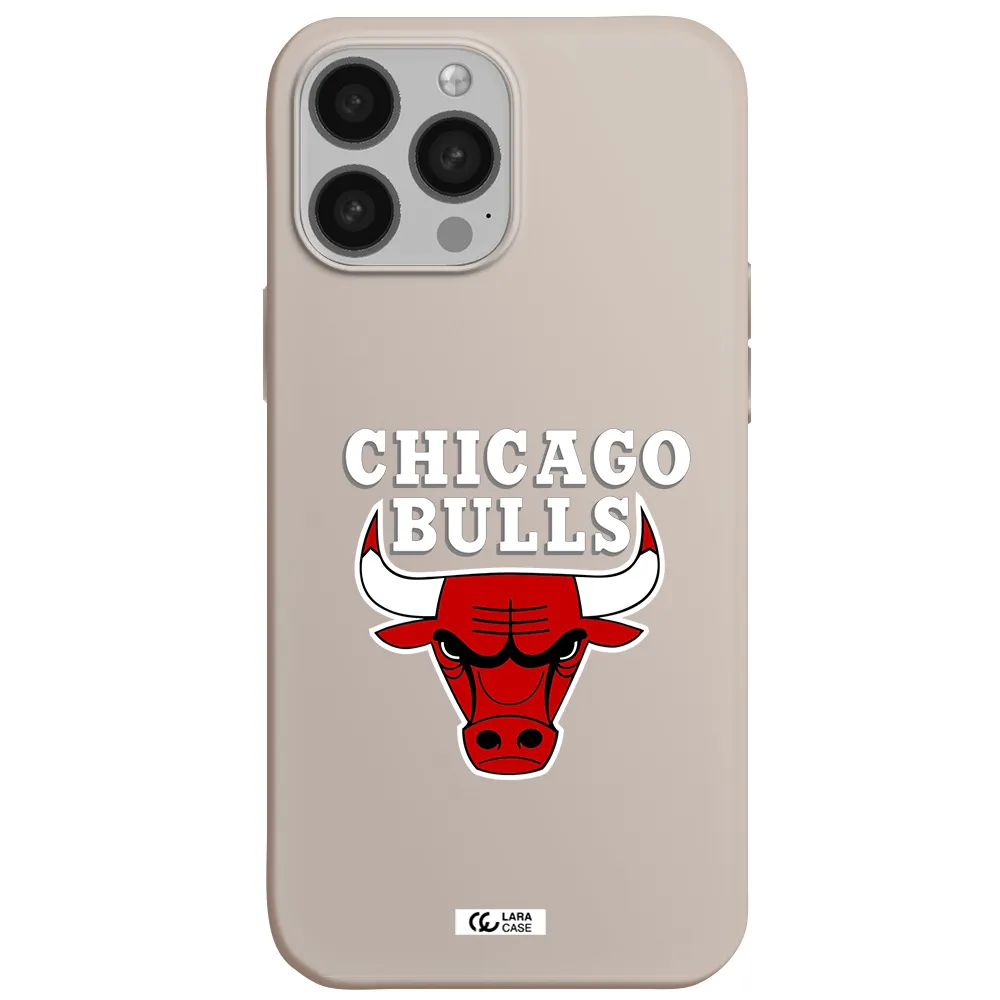Chicago Bulls Apple iPhone 13 Pro Max Silicone Stone Case