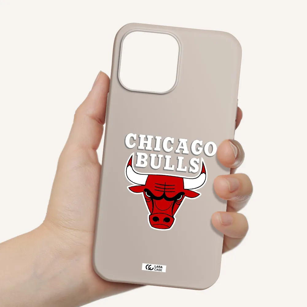 Chicago Bulls Apple iPhone 13 Pro Max Silicone Stone Case