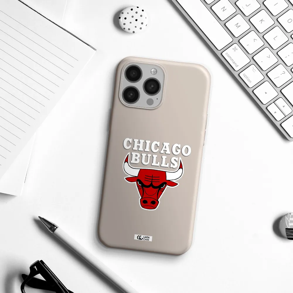 Chicago Bulls Apple iPhone 13 Pro Max Silicone Stone Case