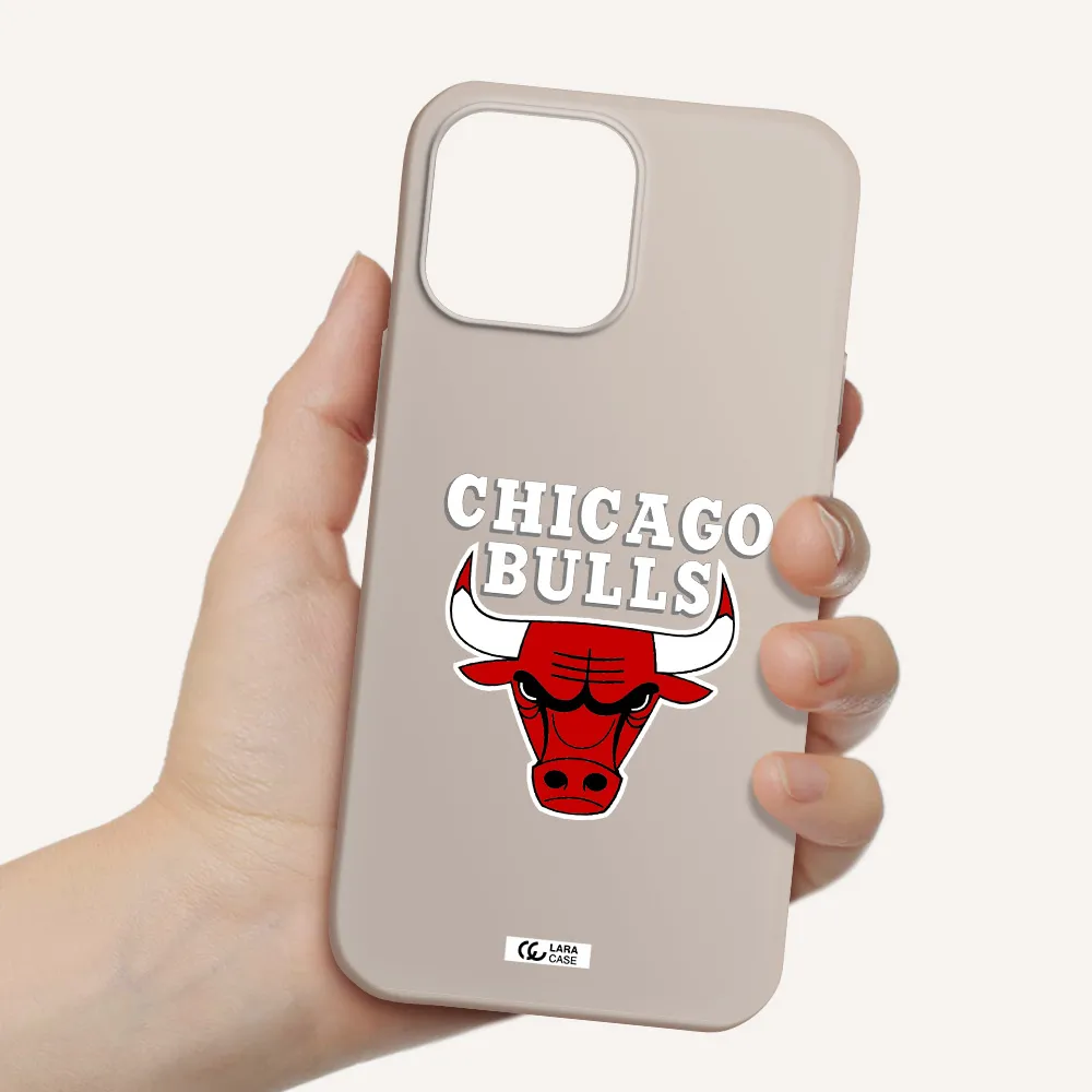 Chicago Bulls Apple iPhone 13 Pro Silicone Stone Case