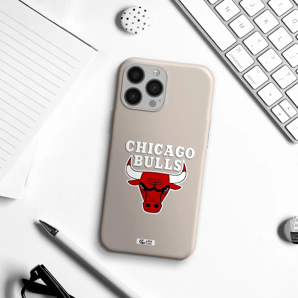 Chicago Bulls Apple iPhone 13 Pro Silicone Stone Case