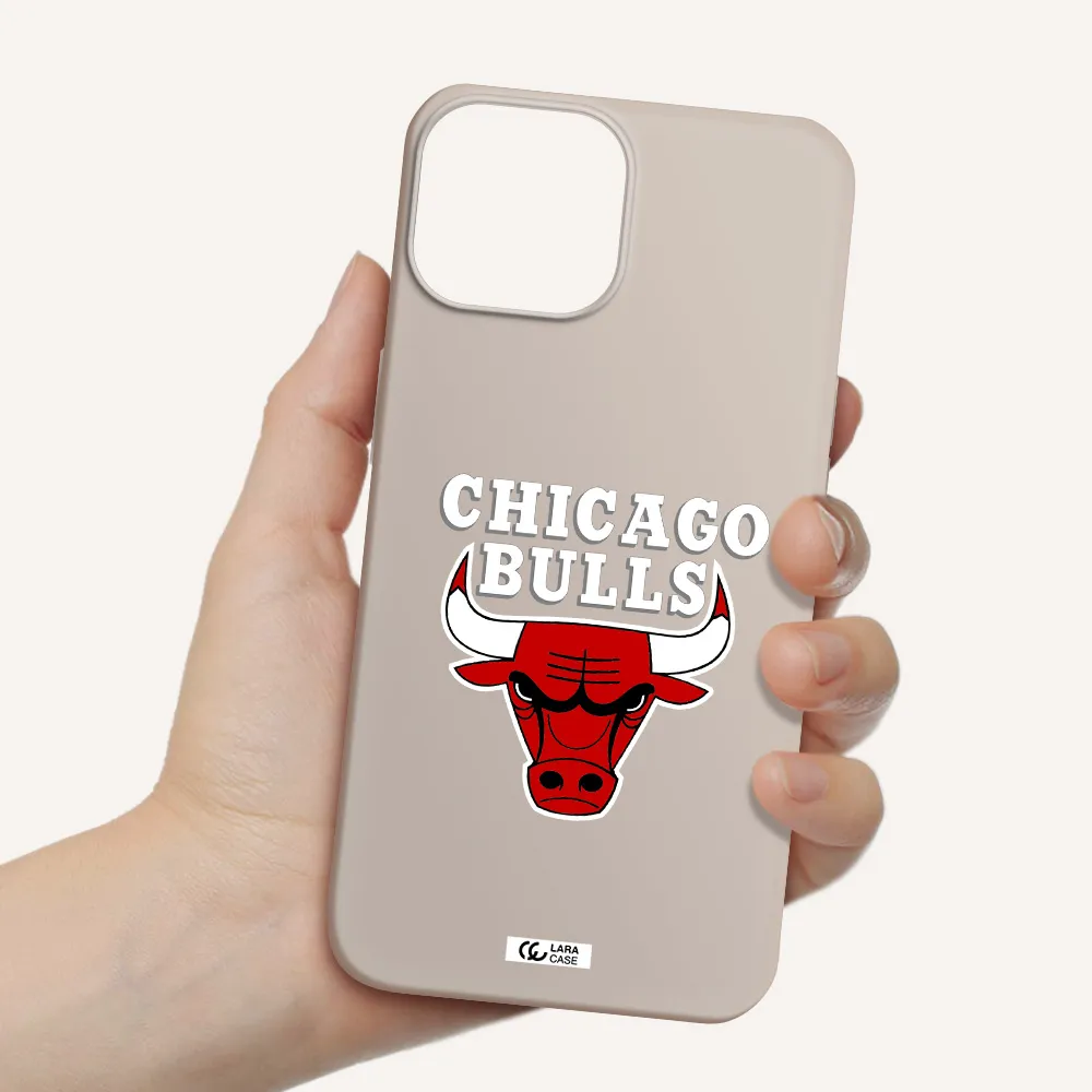 Chicago Bulls Apple iPhone 13 Silicone Stone Case