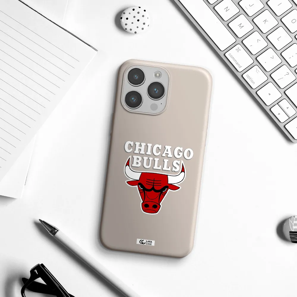 Chicago Bulls Apple iPhone 14 pro max Silicone Stone Case