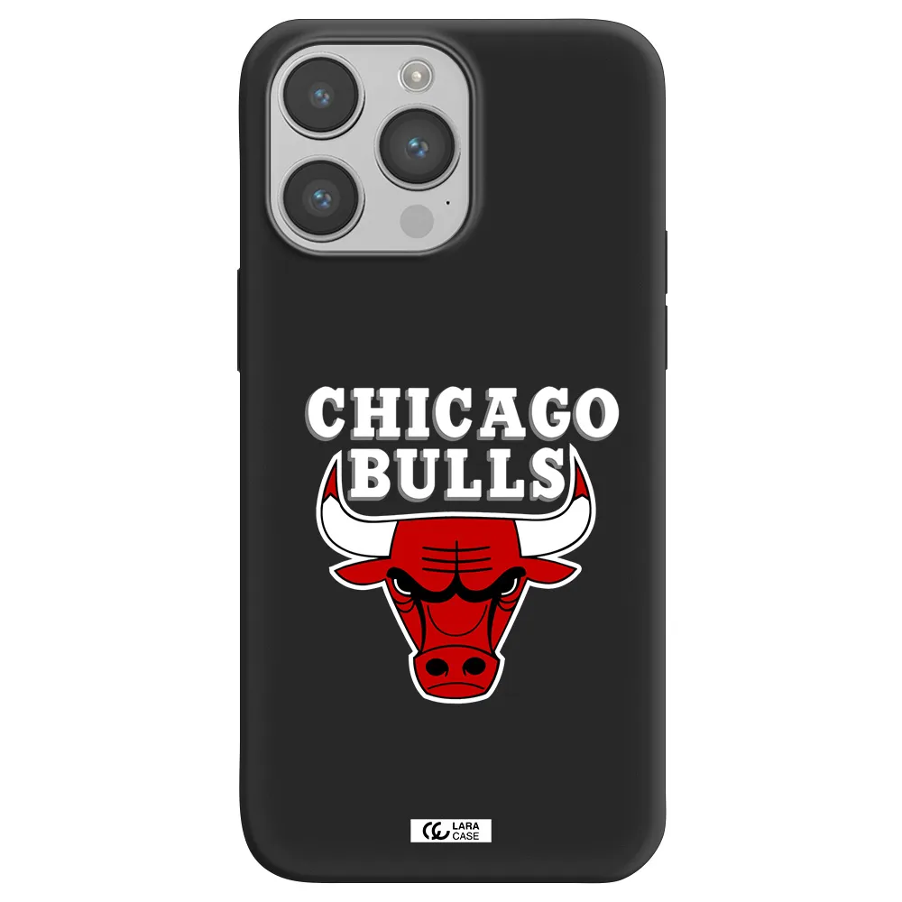 Chicago Bulls Apple iPhone 14 pro Silicone black Case