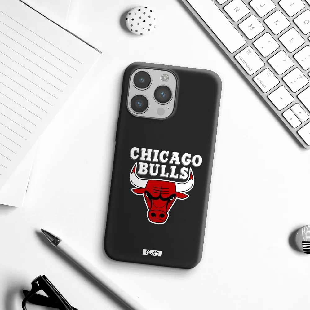 Chicago Bulls Apple iPhone 14 pro Silicone black Case