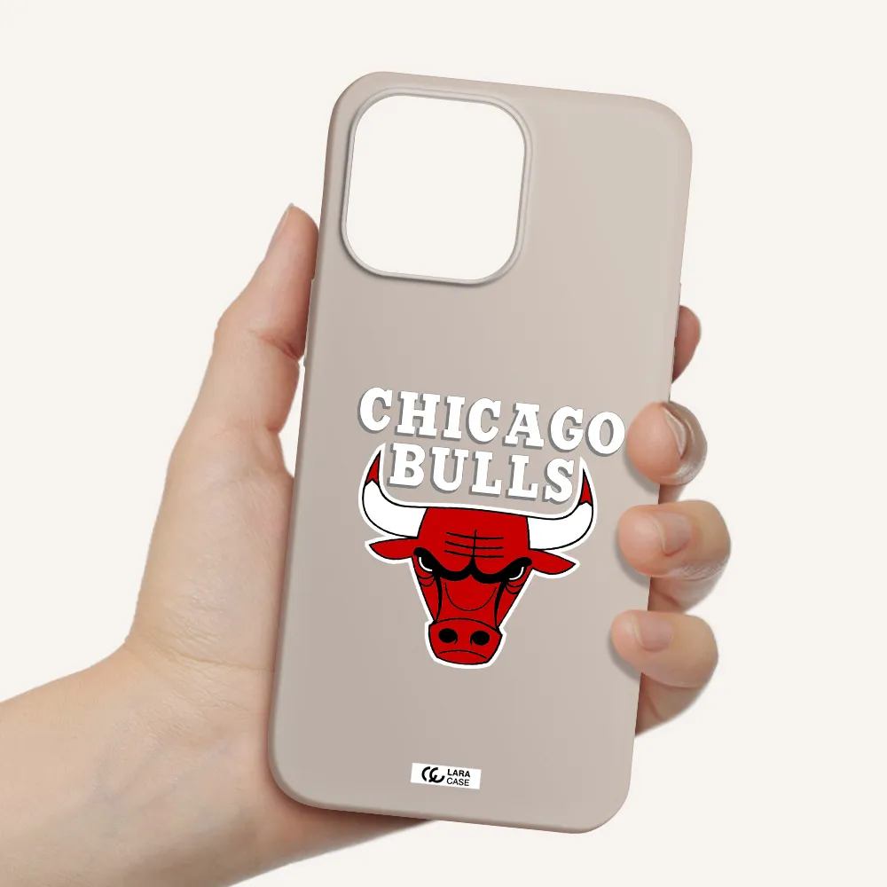 Chicago Bulls Apple iPhone 14 pro Silicone Stone Case