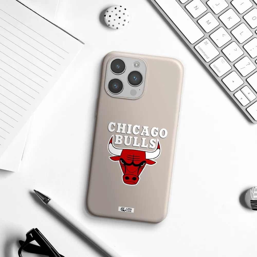 Chicago Bulls Apple iPhone 14 pro Silicone Stone Case