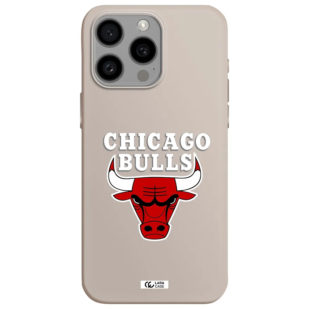 Chicago Bulls Apple Iphone 15 Pro max Silicone Stone Case
