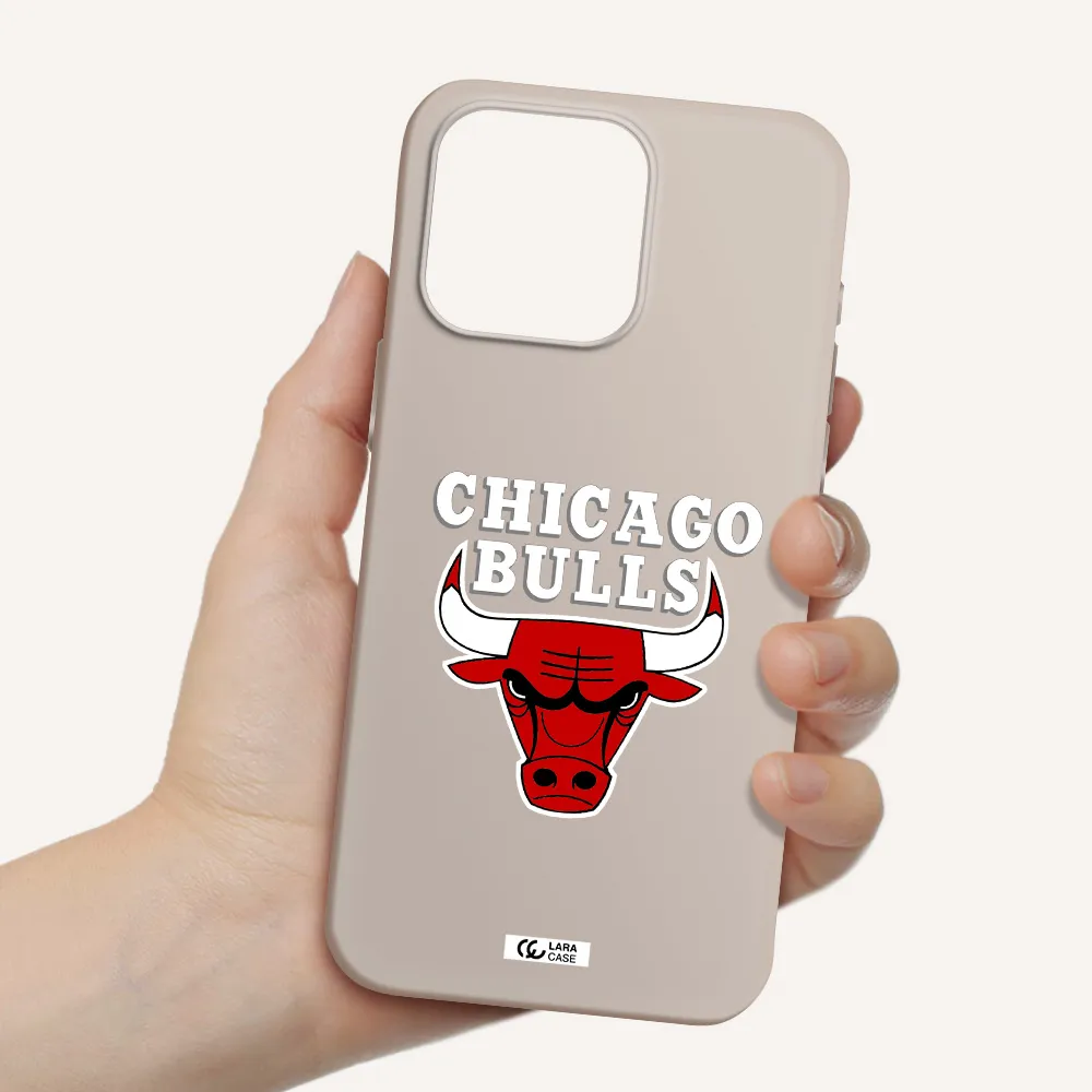 Chicago Bulls Apple Iphone 15 Pro max Silicone Stone Case