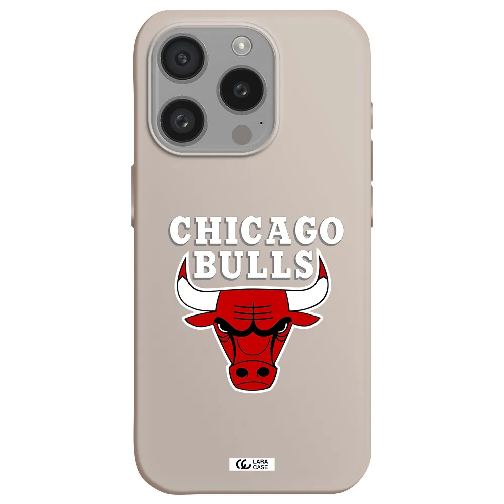 Chicago Bulls Apple Iphone 15 Pro Silicone Stone Case