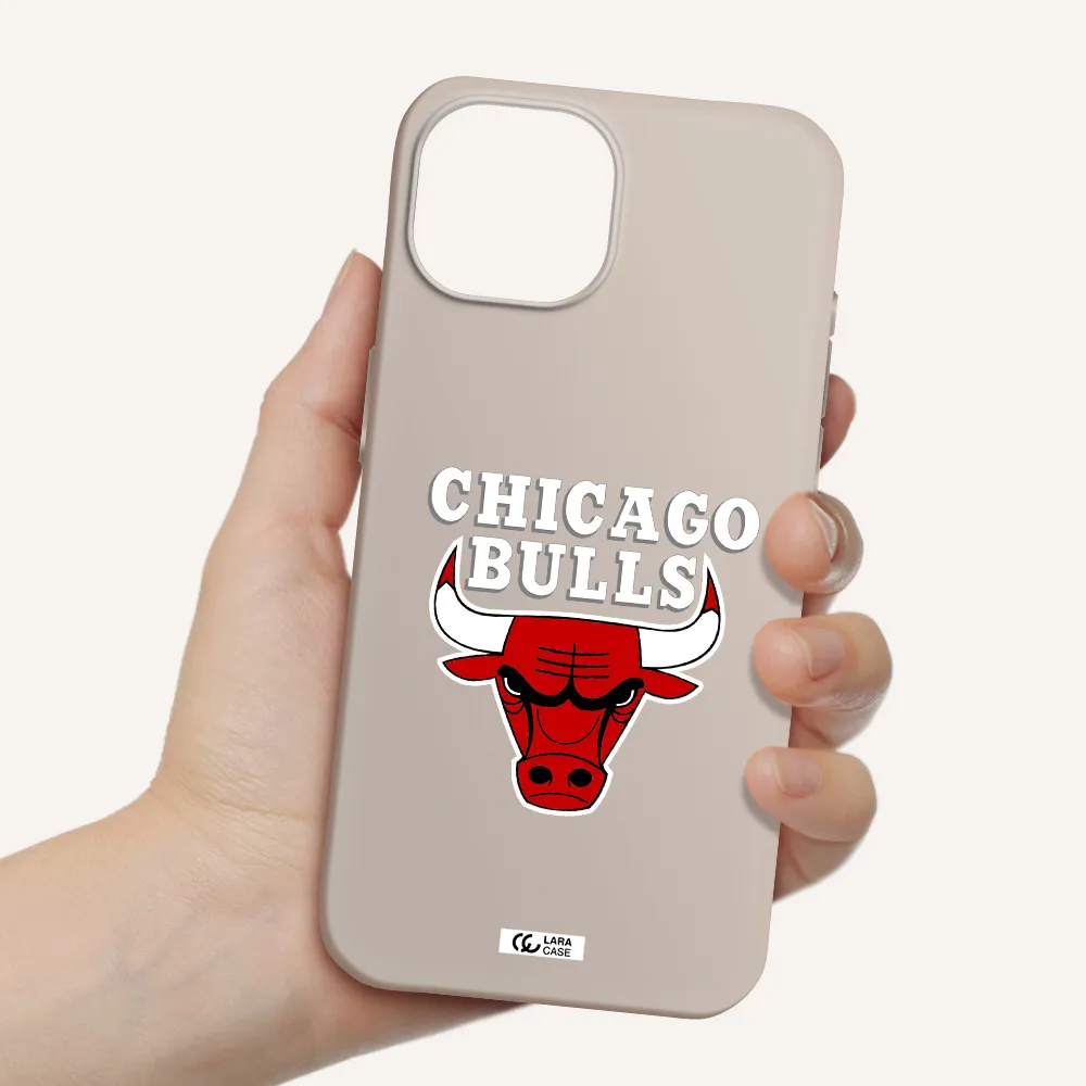 Chicago Bulls Apple iPhone 15 Silicone Stone Case