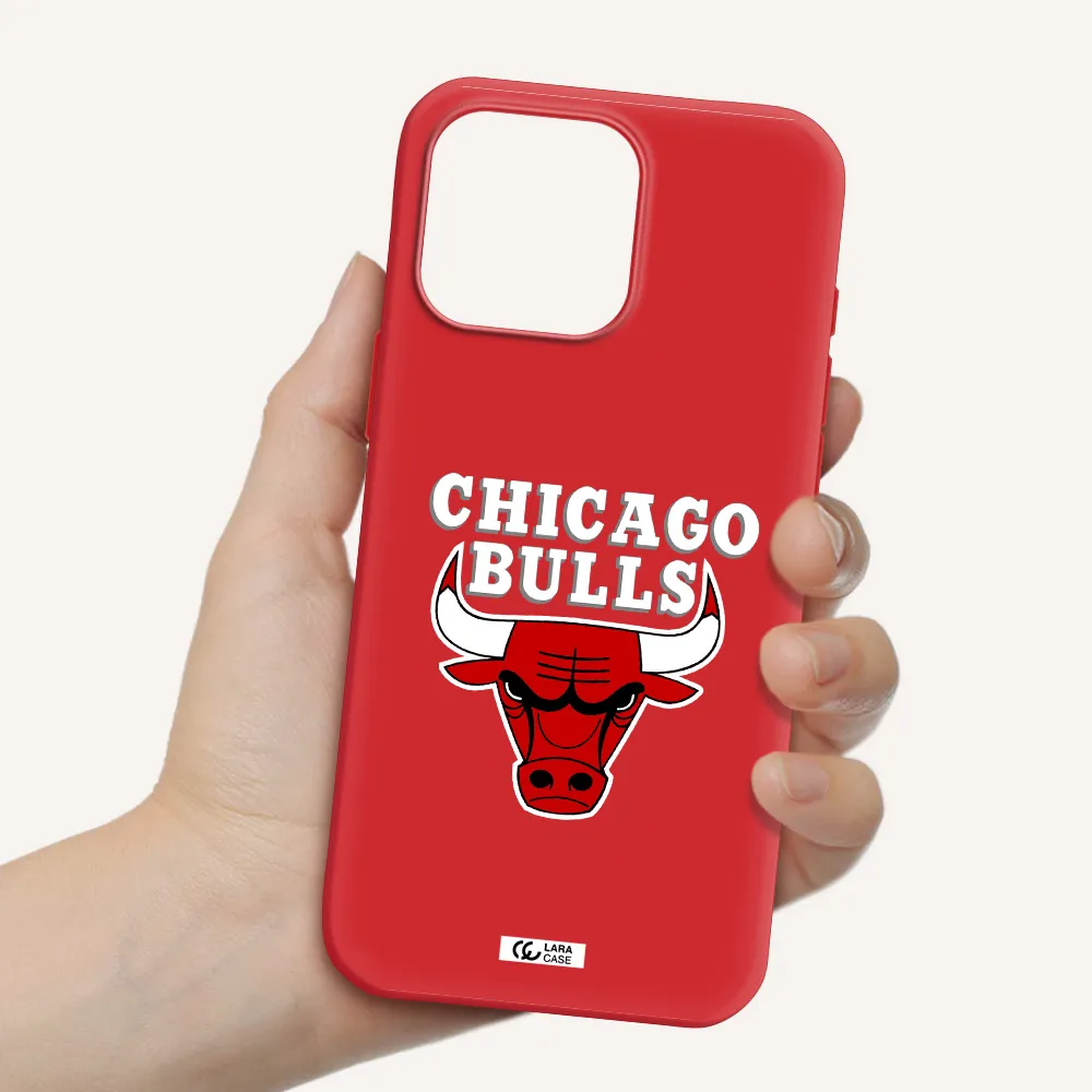 Chicago Bulls Apple Iphone 16 Pro Max Silicone Stone Case