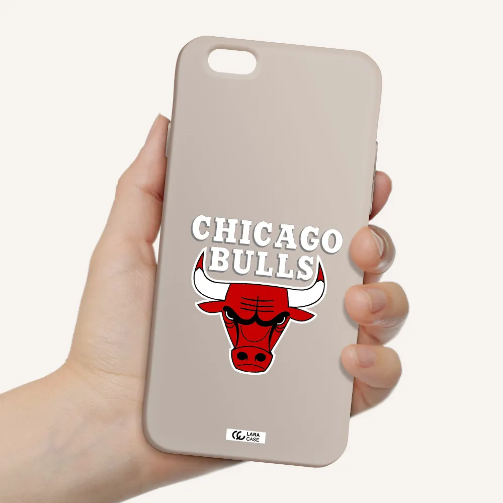 Chicago Bulls Apple iPhone 6 Silicone Stone Case