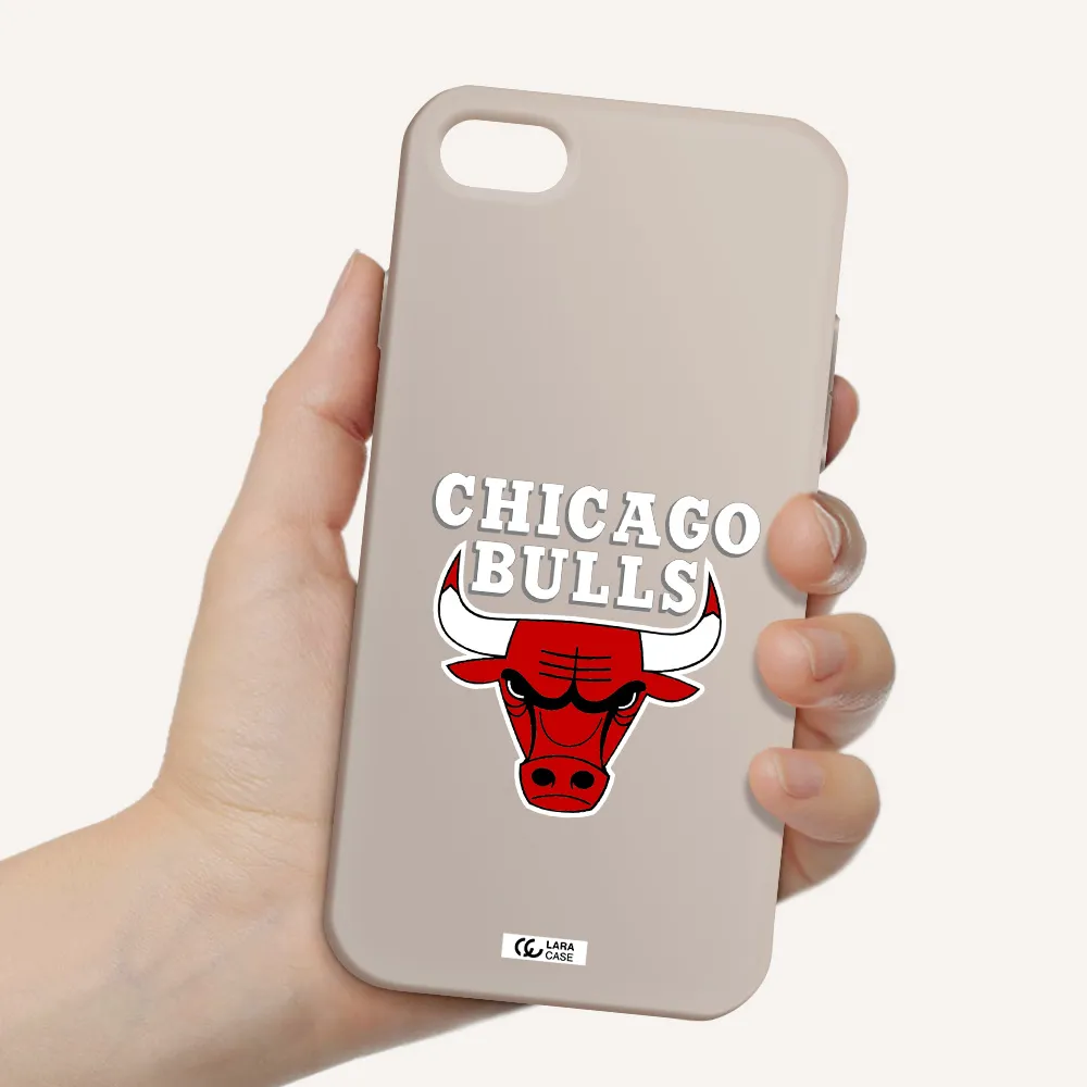 Chicago Bulls Apple iPhone 7 Silicone Stone Case