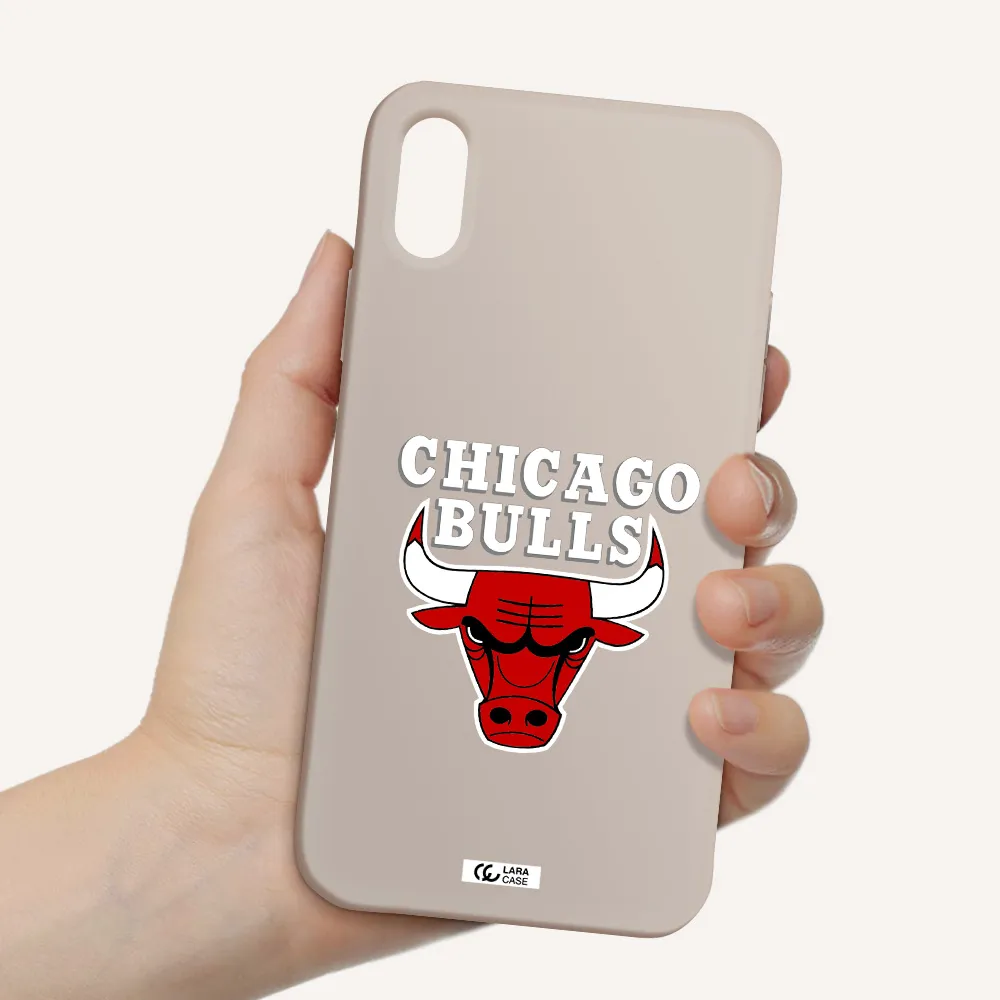 Chicago Bulls Apple iPhone X Silicone Stone Case