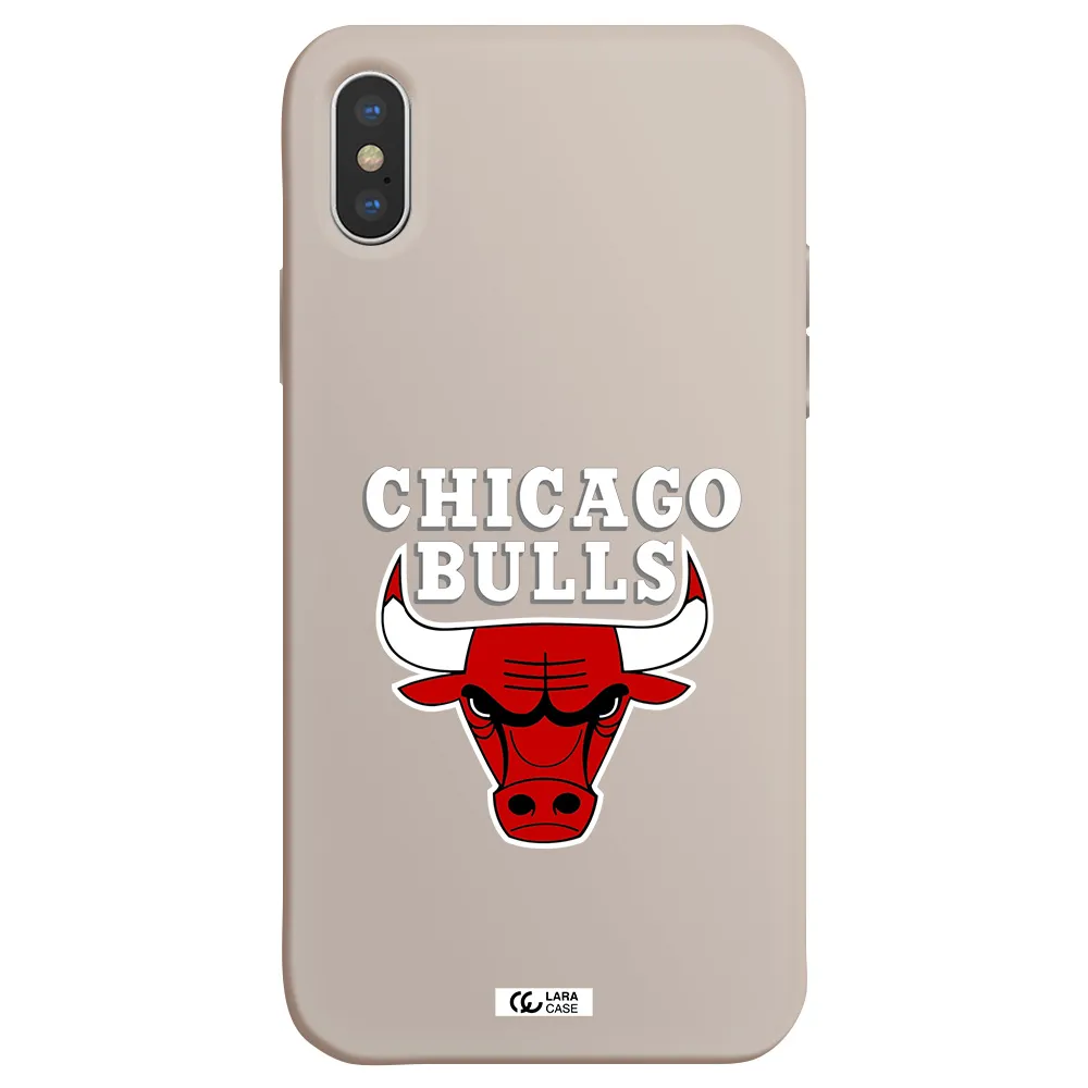 Chicago Bulls Apple iPhone XS Silicone Stone Case