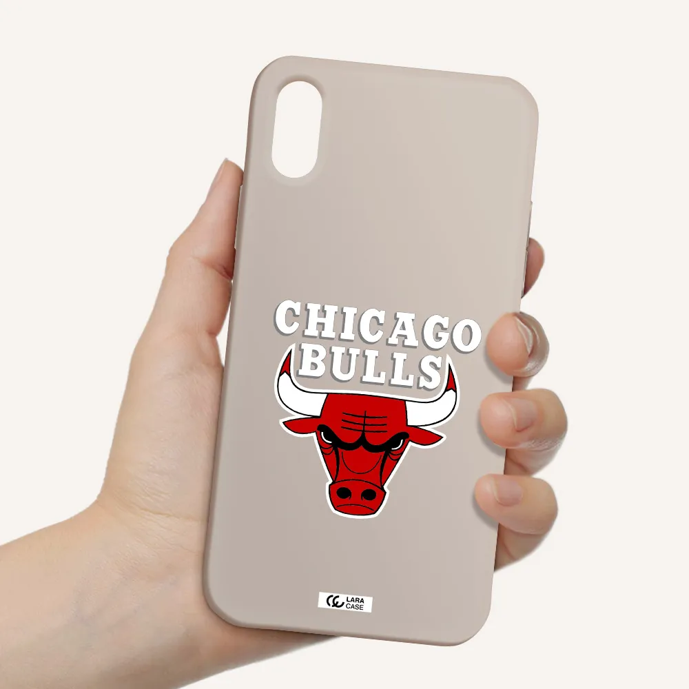 Chicago Bulls Apple iPhone XS Silicone Stone Case