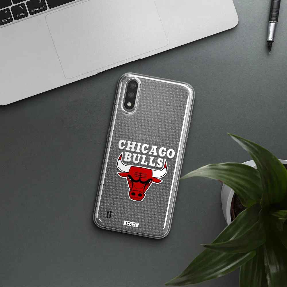 Chicago Bulls Samsung A01 Clear TPU Case