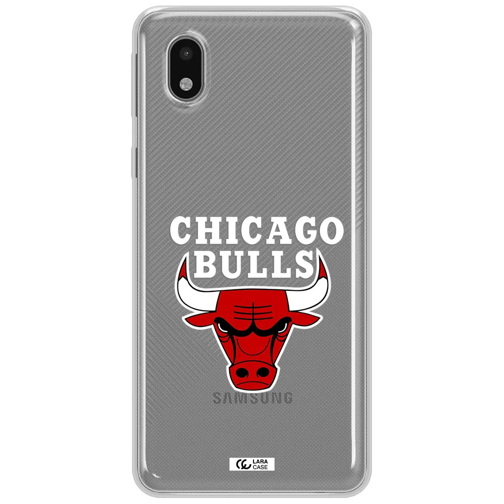 Chicago Bulls Samsung A01 Core Clear Tpu Case